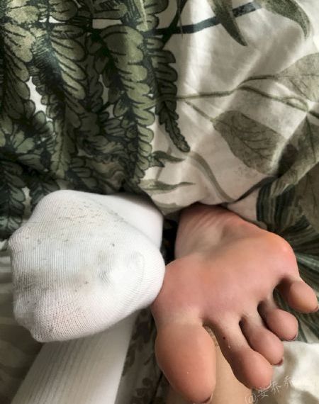 海参的主要功效是什么