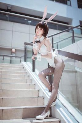 美丽的家